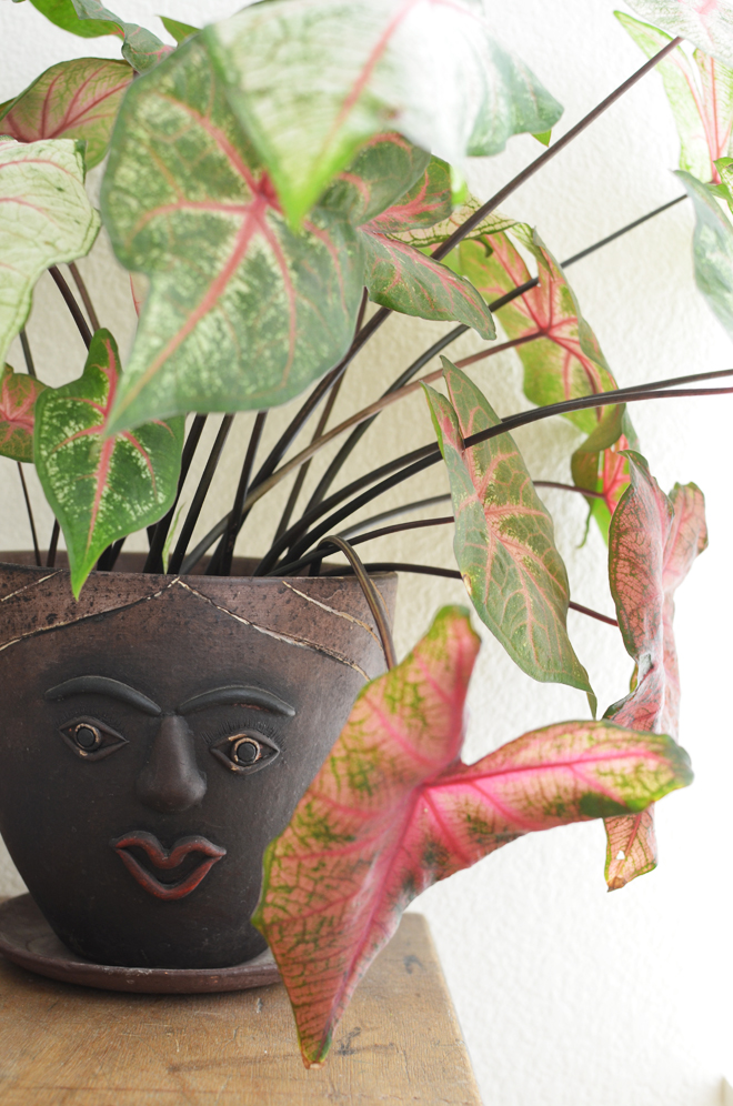 9149608976_71ee87a8b5_o