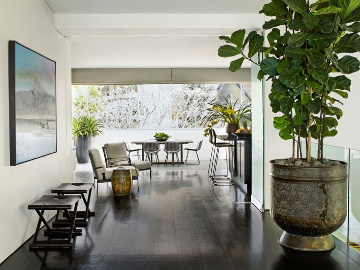 decorating-your-houses-interiors-with-plants-5