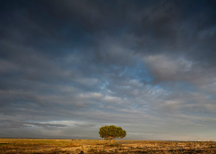 aires_mateus_casa_areia_240110_0915-copy