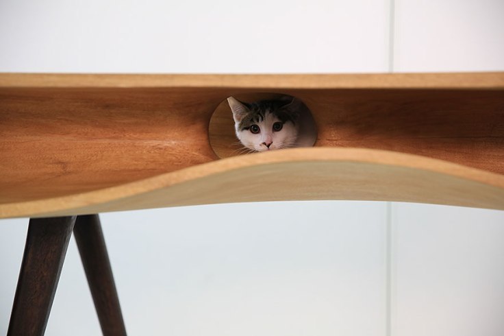 catable-shared-table-for-catsand-people-6