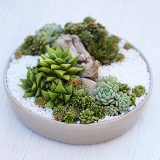 10440646_880600892004080_7298621859511612122_n