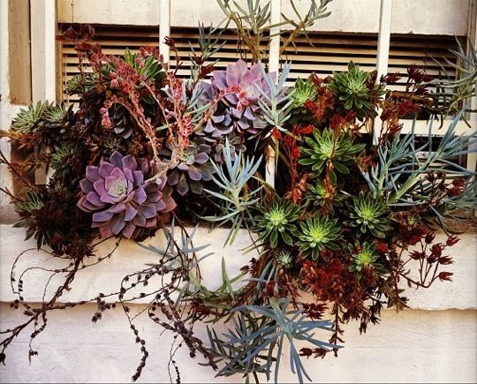 a99e3781039abaf0310c6f6489492a4b