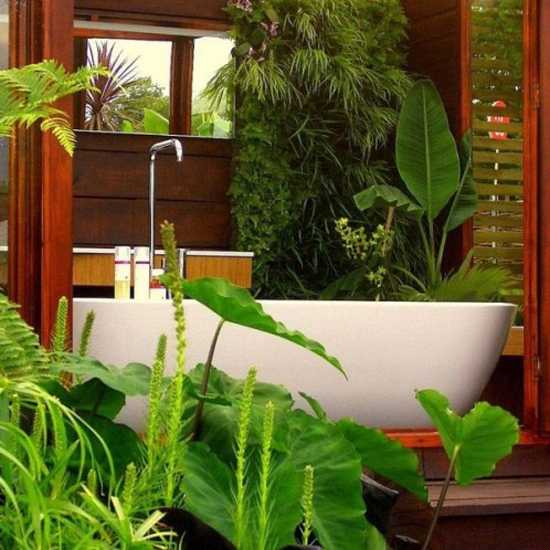 modern-bathroom-decorating-with-plants-3