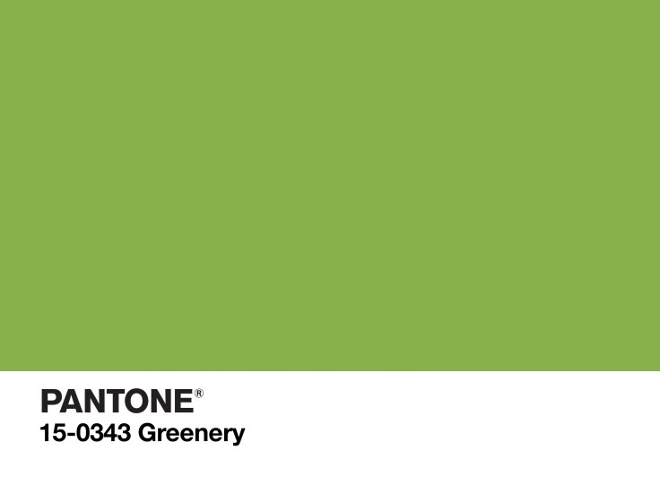 PANTONE-Color-of-the-Year-2017-2732x2048