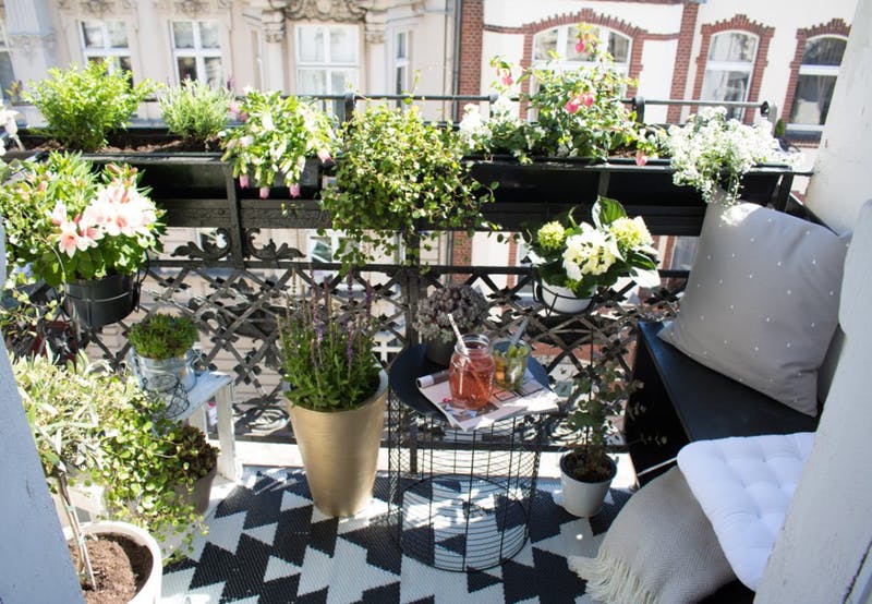 331b0aa1a5abb72ce5a1cfbf625416d6fdc462f0