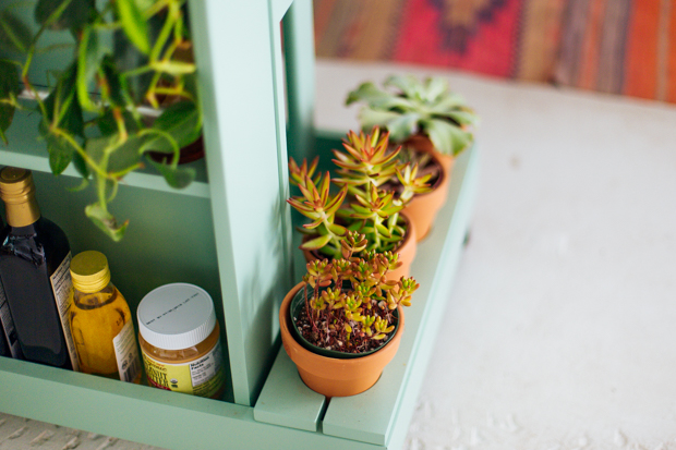 Jungalow-HQ-Wayfair-38