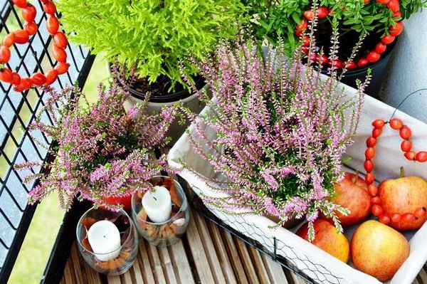 Autumn-decoration-pagan-hips-Apple-balcony