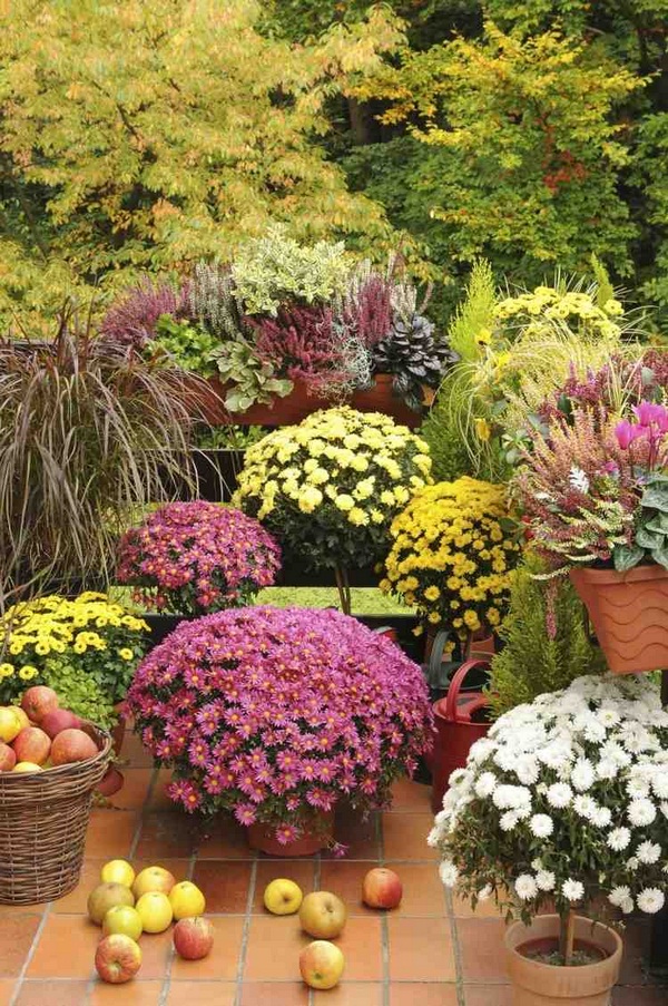 Balcony-autumnal-decorating-ideas-for-arrangements-baskets-candle-lanterns