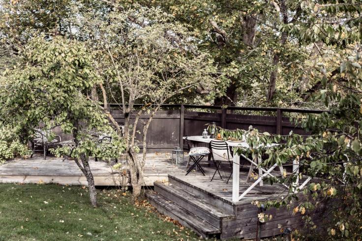 MED3DE107D06535411182A1D9263F2D6FF0