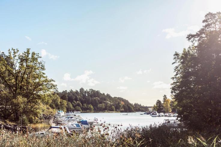 MED75A20F70030445D6AC83FA43A7FFF263