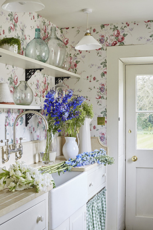 kitchen floral