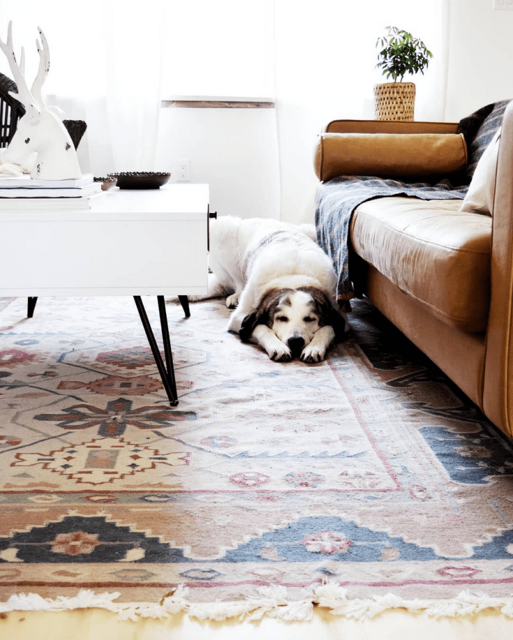 Screen Shot 2018-09-12 at 10.15.42