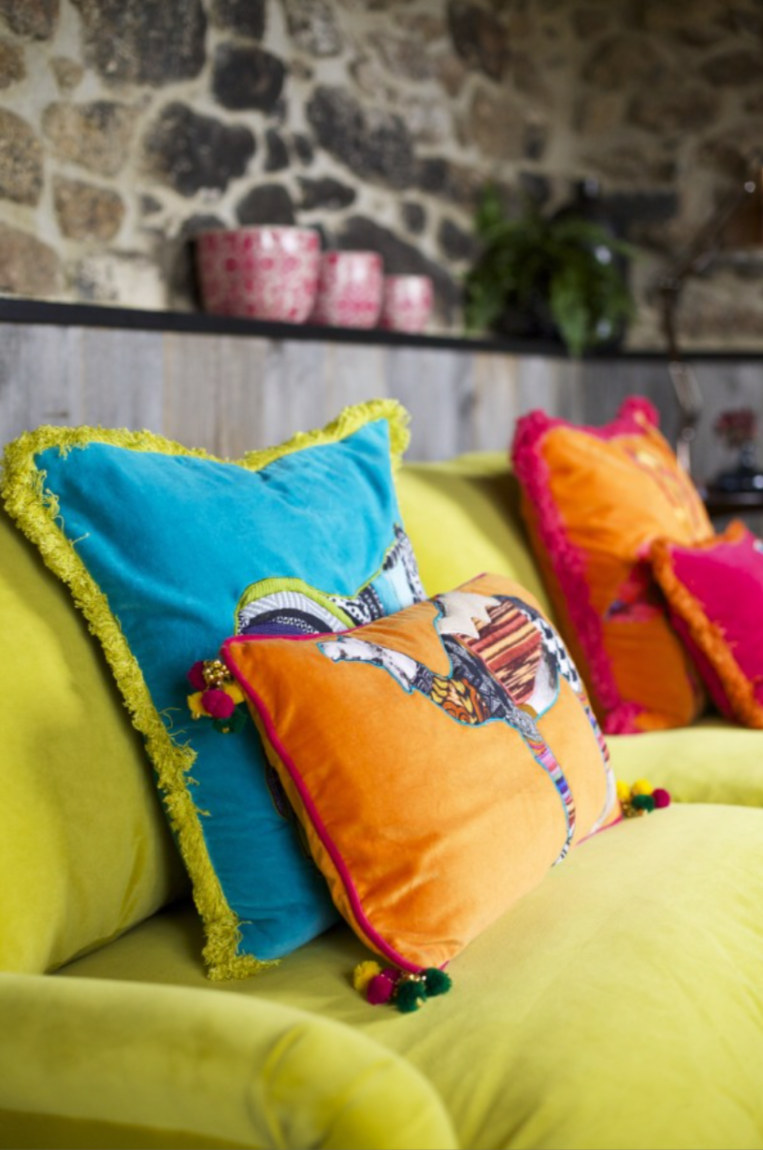 peacock-blue-holne-devon-uk12