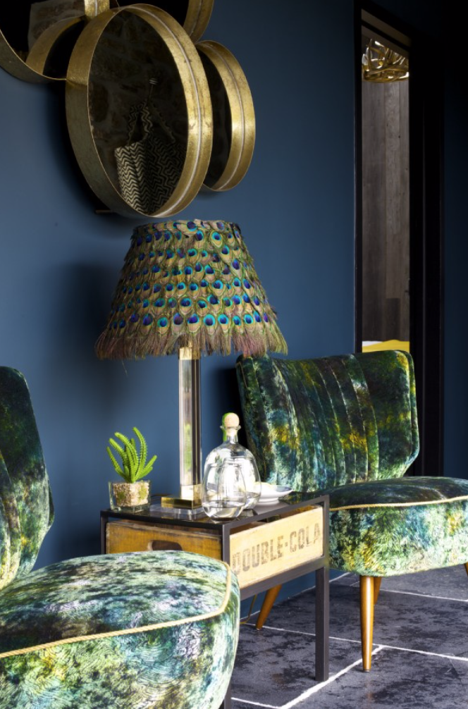 peacock-blue-holne-devon-uk22