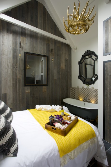 peacock-blue-holne-devon-uk5