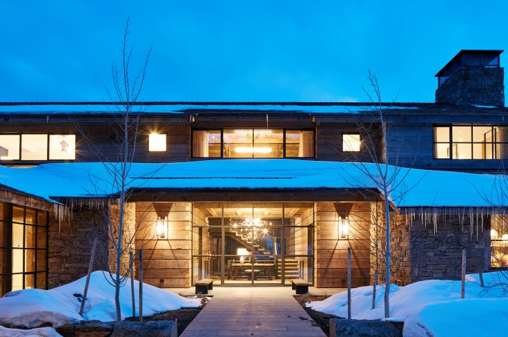 Alpine_Yellow_Hammer-2