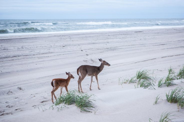 alexbates_b-roll-11lr